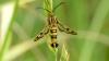 324423 – Photo : florent besson – France (18)